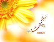 flower of ahlul bayt