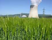 کشاورزی هسته ای