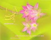 flower of ahlul bayt