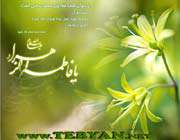 flower of ahlul bayt