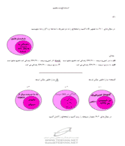 نمودارهای ون و منطق