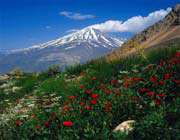 nature of damavand