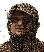 most bees on a human being