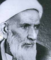 محمد تقی آملی