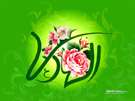 ولادت امام هادی علیه السلام
