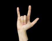 sign language: i love you