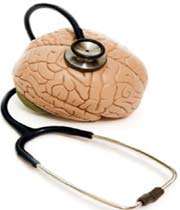 a model brain with a stethoscope