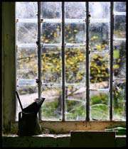 پای هر پنجره ای،شعری خواهم خواند