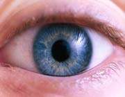 eye