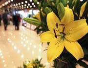 the international exhibition of flowers and plants in tehran 