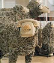 گوسفندهای تلفنی، تلفن های گوسفندی
