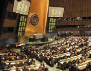 مجلس حقوق الانسان التابع للامم المتحدة 