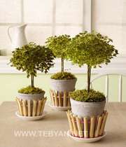 هنرنمایی با گیره لباس