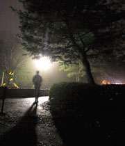 ورزش کردن در شب، درختان