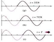 توصیف ریاضی موج