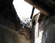 quake damages 700 homes in iran