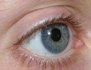 eye