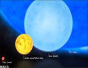 جرم زرد رنگ جرمی خورشید مانند و جرم آبی تیره رنگ در پس زمینه ستاره
 جدید را شبیه سازی کرده است