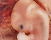 men face miscarriage depression too