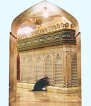 امام زنده است