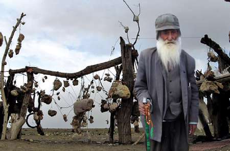 باغ سنگی سیرجان