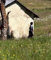 روستای جهان نما