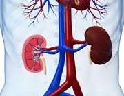 kidney- disease- symptoms