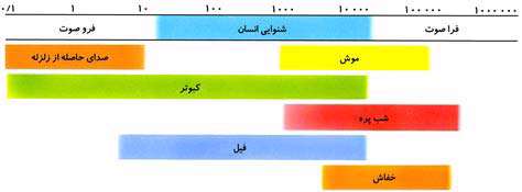 فرو صوت و فراصوت