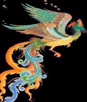 simorgh