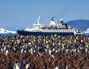 un bateau devant des milliers de pingouins