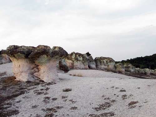 بزرگترین قارچ سنگی دنیا