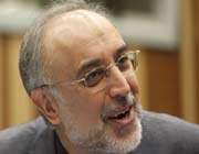 iranian foreign ministry caretaker ali akbar salehi