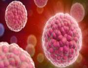 cancer_cells