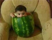 baby_ watermelon
