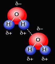 پیوند هیدروژنی