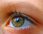 eyelid twitch or blepharospasm