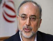 iranian foreign minister ali akbar salehi 