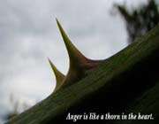 anger_thorn