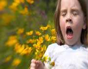 spring allergies _sneezing