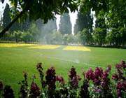 jahan nama garden, shiraz 