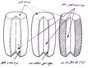 آشنایی با انواع سر جنگی