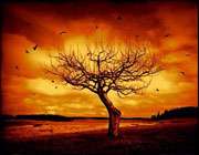 poison-tree