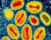 nations oppose virus eradication delay