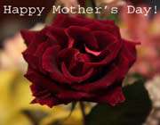 flower_ mothers day