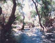 qadamgah mineral water spring, eqleed  