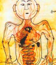 l’anatomie du corps