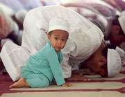 inocent-muslim