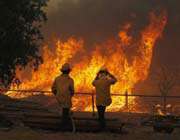 wildfire in texas