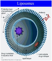 داروسازی نوین با کمک فناوری نانو(2)