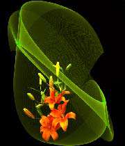 شعر
